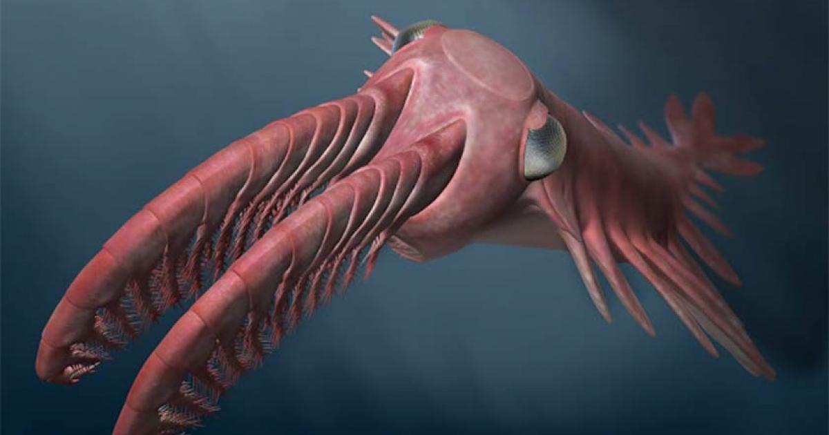 The 500-Million-Year-Old Evolutionary Arms Race Towards Better Vision