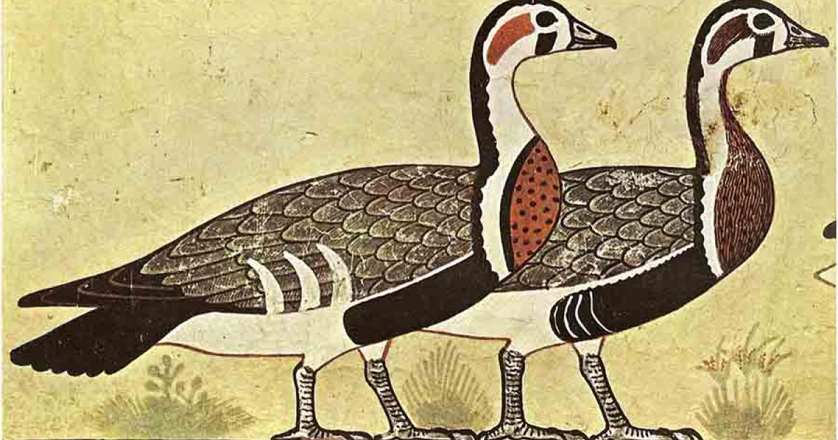 Anthony Romilio argues that the geese depicted in the 4,600-year-old- tomb painting at Meidum is actually an extinct goose species. Source: Public domain