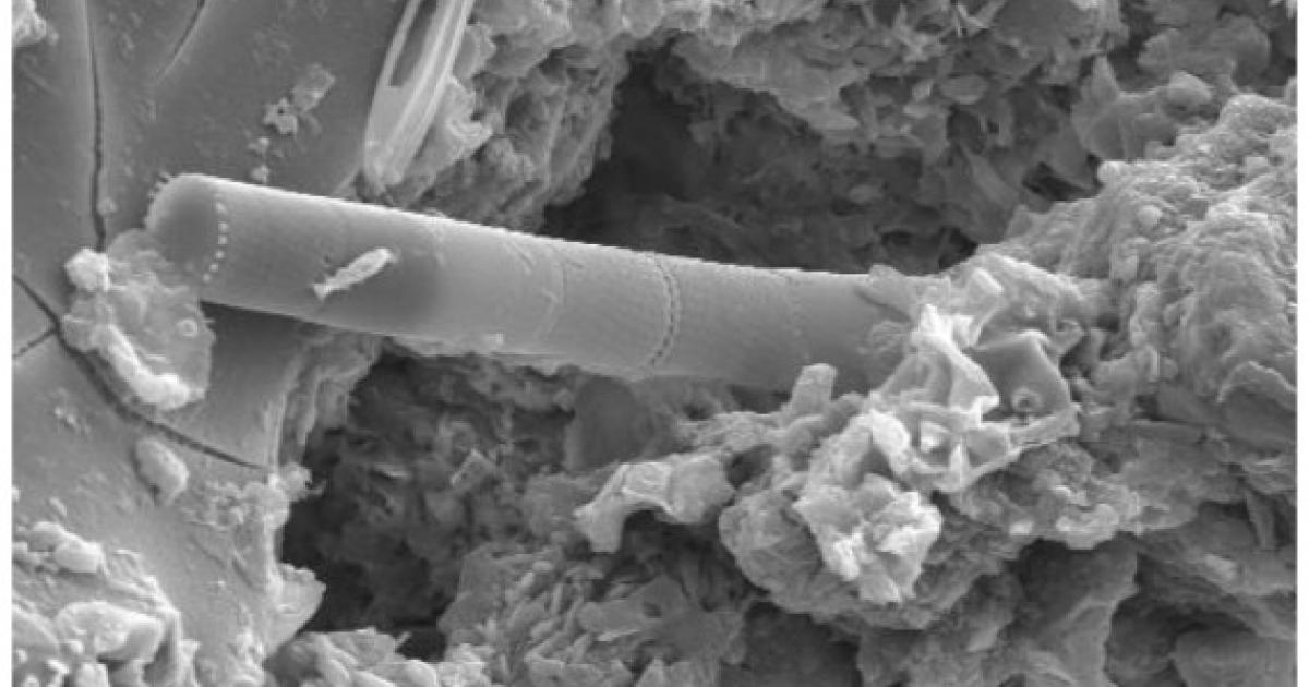 Extraterresterial Life Exists, Scientist Chandra Wickramasinghe Claims