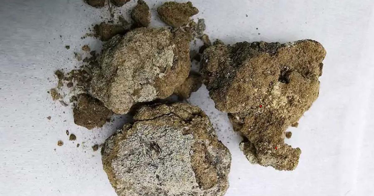 The facial cream found in a 2,700-year-old nobleman’s grave in Liujiawa, China.  