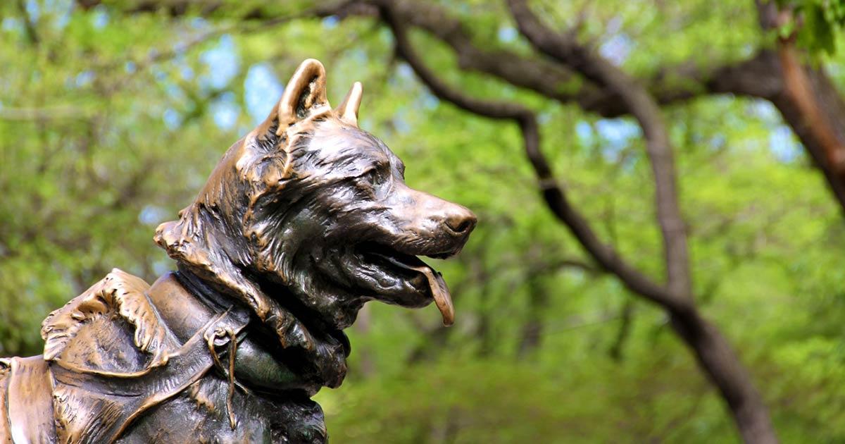 Famous Dogs in History, from Ancient Greece until Today