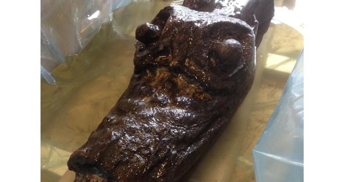 The figurehead of the Gribshunden resembles a monster or dog. 