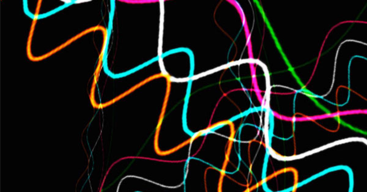 Freezing light for one minute