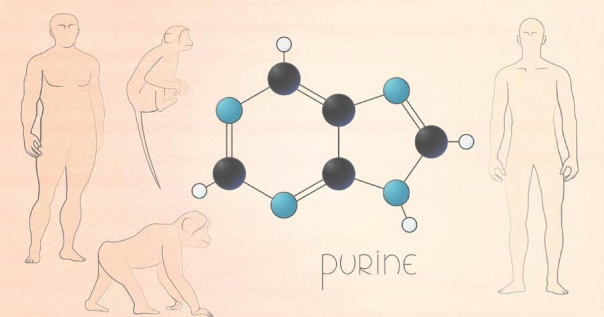 Discovery of Genetic Mutation Separating Humans and Neanderthals