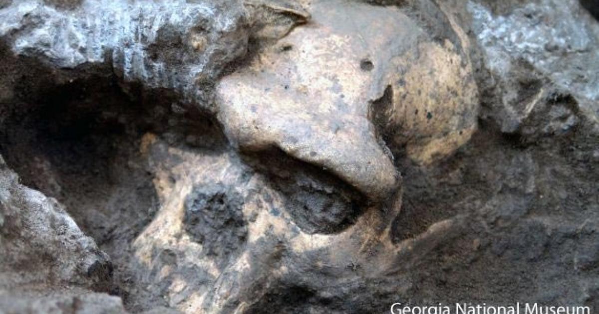 1.8-million-year-old skull - Georgia