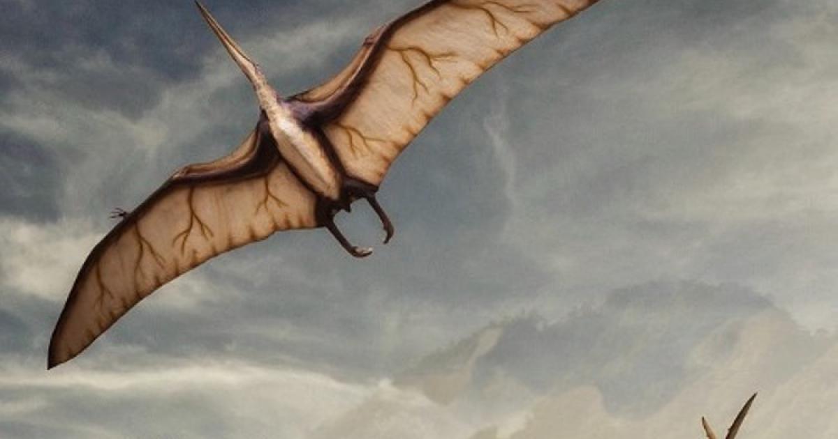 Pterosaur in flight.