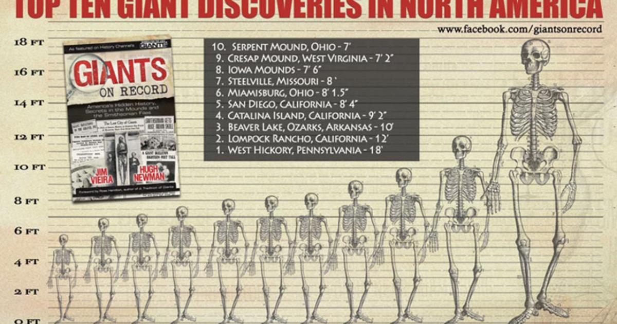Graphic chart displaying the heights of various giant discoveries in North America (authors supplied)