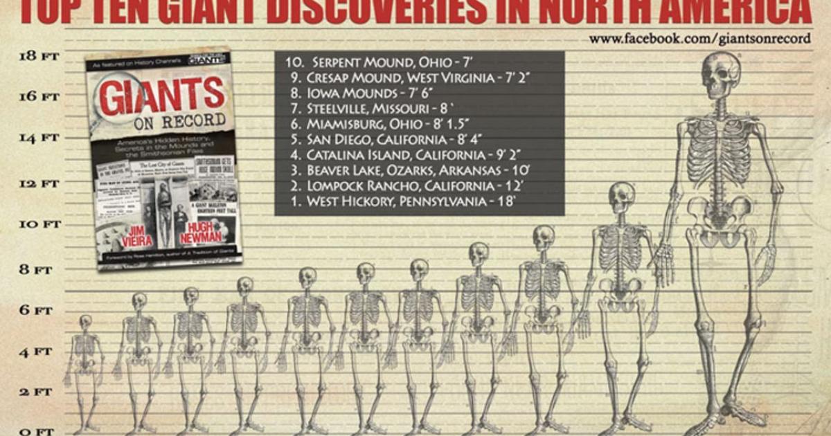 Graphic chart displaying the heights of various giant discoveries in North America (authors supplied)