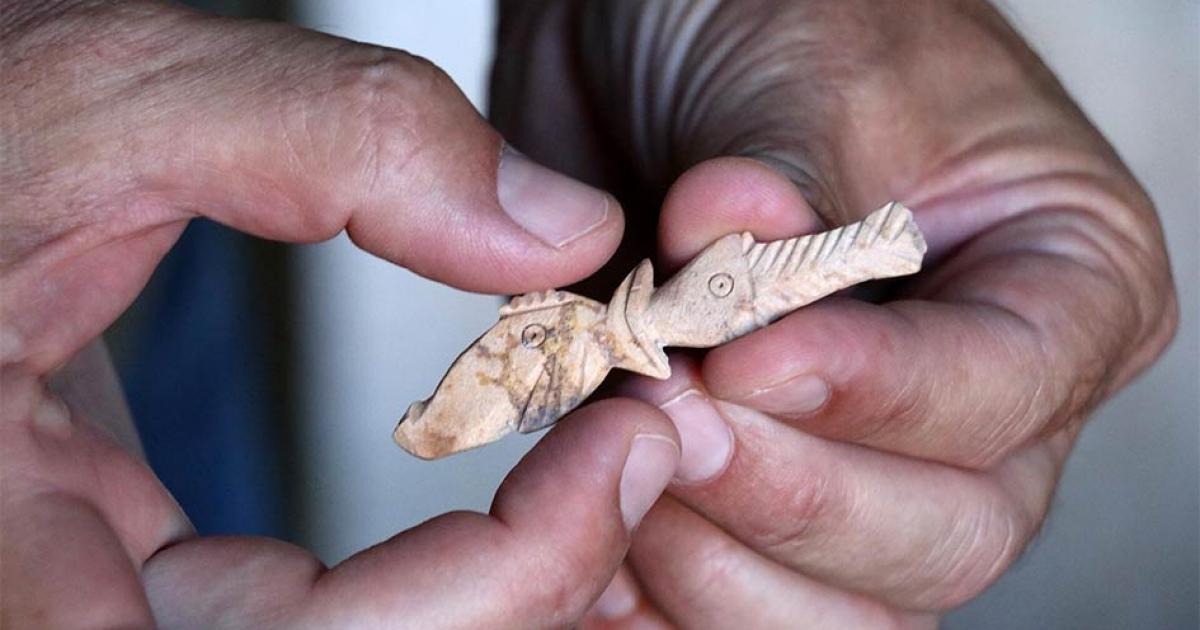 One of the carved goat bone objects, depicting two fish, face to face, recently found in an ancient Greek garbage dump in western Turkey.             Source: Hurriyet Daily News