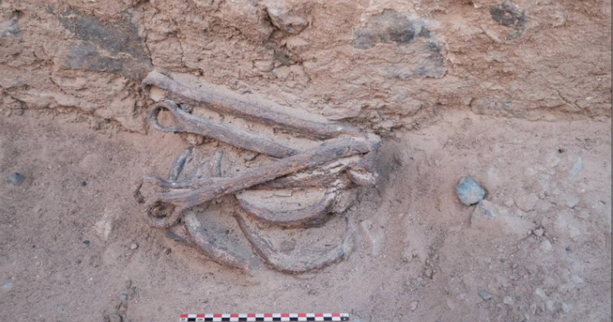 Set of shackles found on floor inside room of a building at site of ancient Egyptian gold mining village of Ghozza.