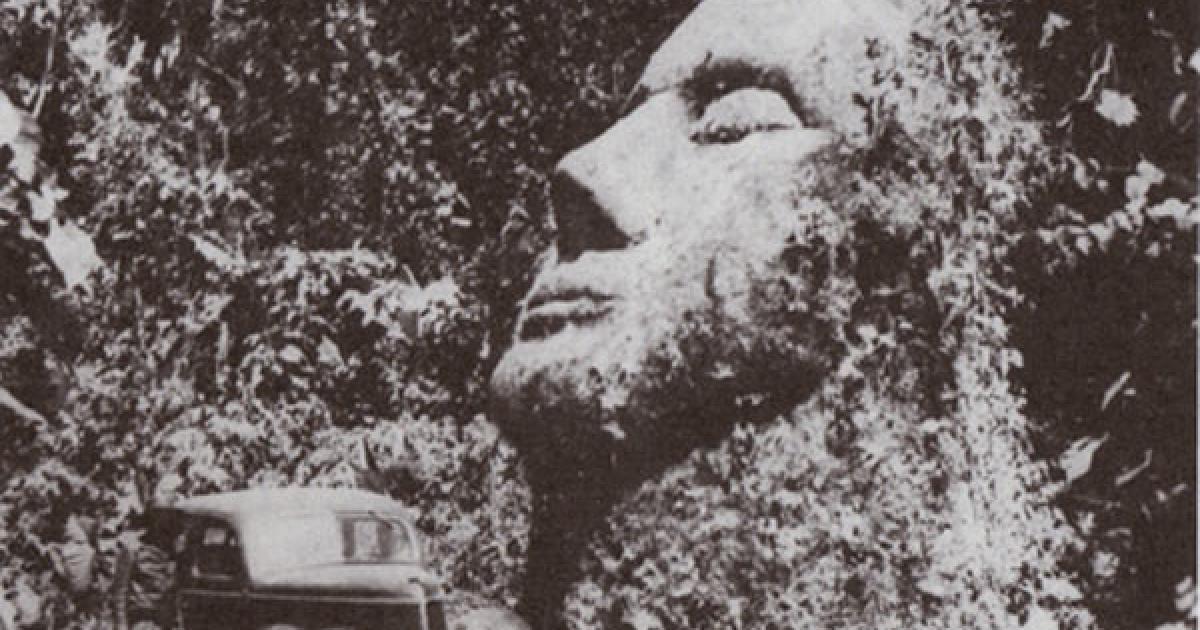 Gutemala Stone Head