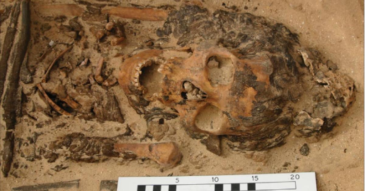 One of the Amarna graves found with a head cone. Source: Courtesy of the Amarna Project via Antiquity Publications Ltd