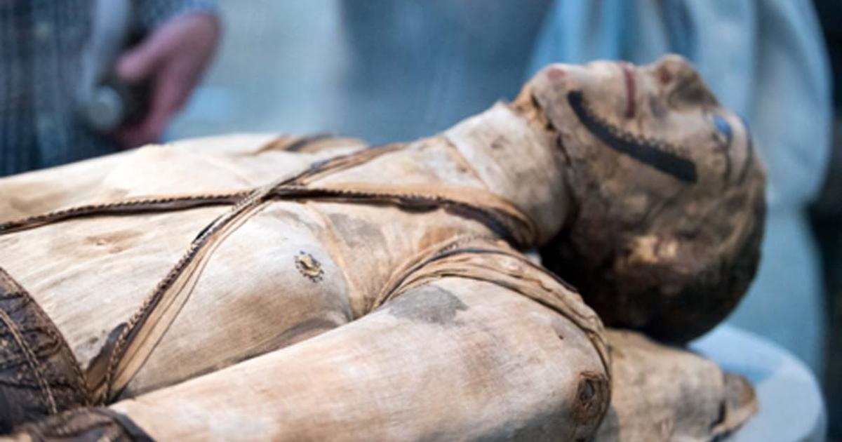 Egyptian mummy. Credit: Andrea Izzotti / Adobe Stock