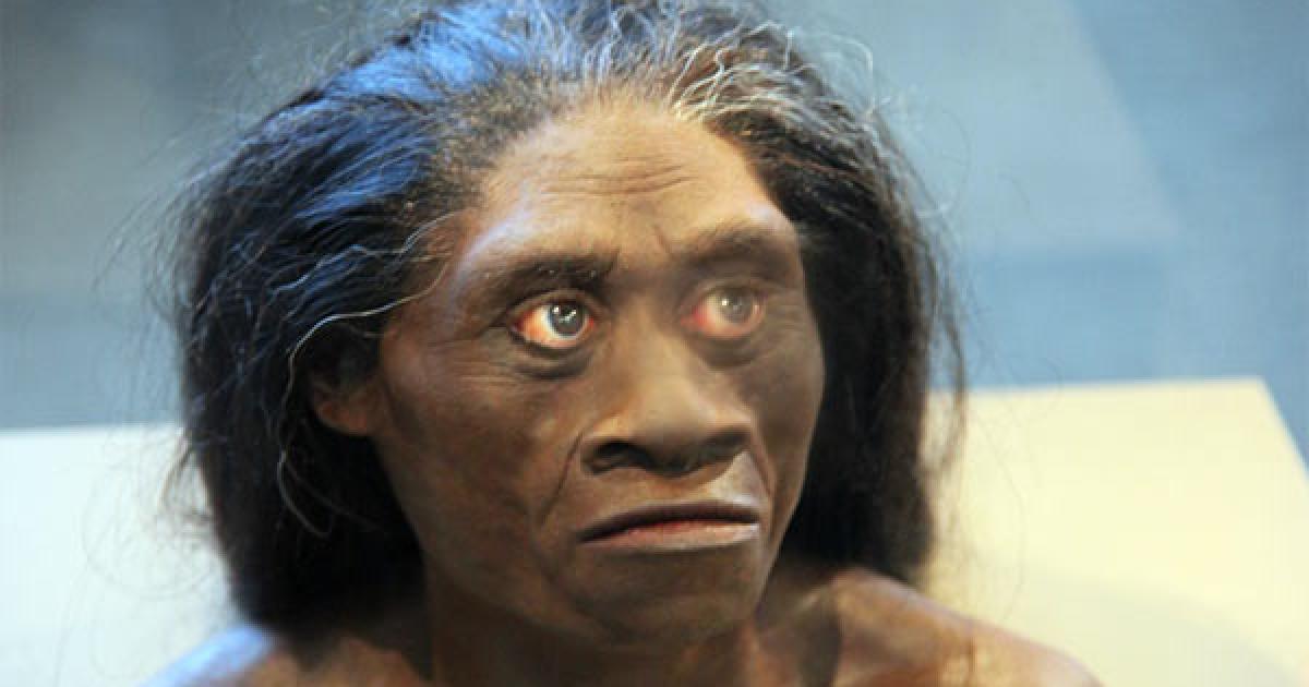 Ancient "Hobbit" Looked Like Humans