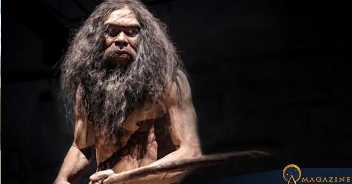 Homo heidelbergensis at the Rama 9 Museum in Bangkok, Thailand. 