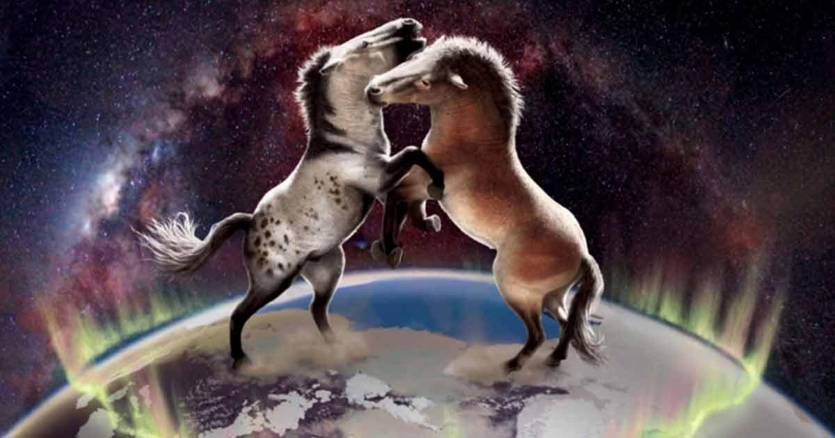 Ancient horse populations crossed over the Bering Land Bridge in both directions between North America and Asia multiple times during the Pleistocene.