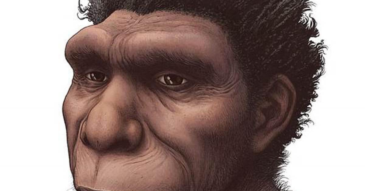 Artist rendering of the so-called “new human ancestor”, Homo bodoensis. Source: Ettore Mazza / University of Winnipeg