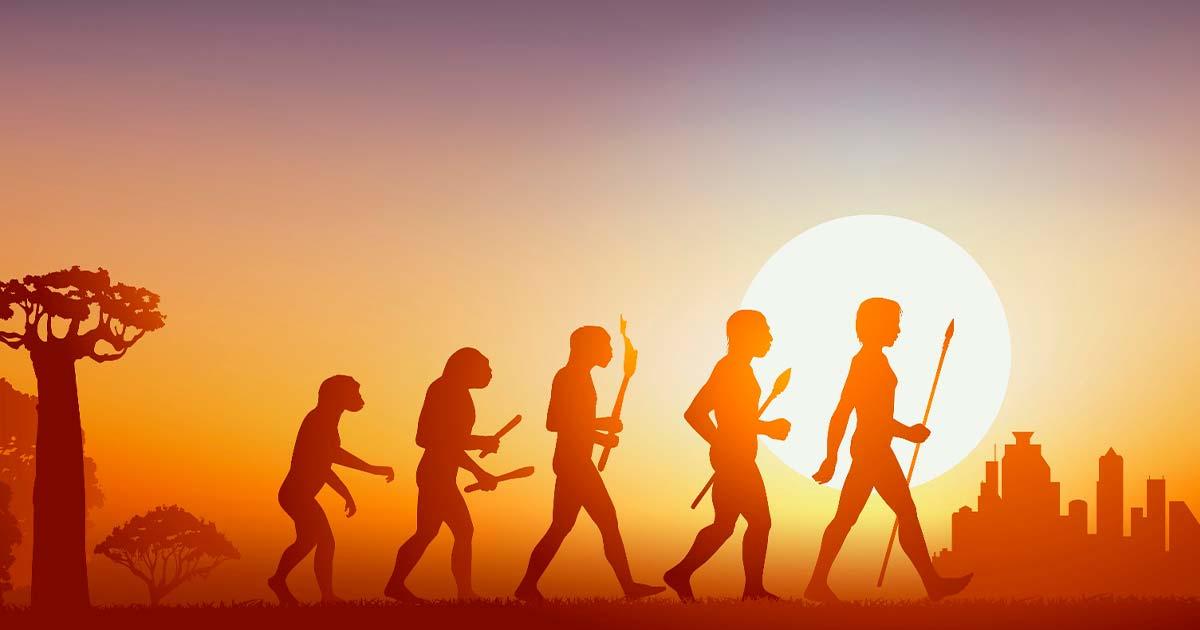 Human evolution. Source: pict rider / Adobe Stock.