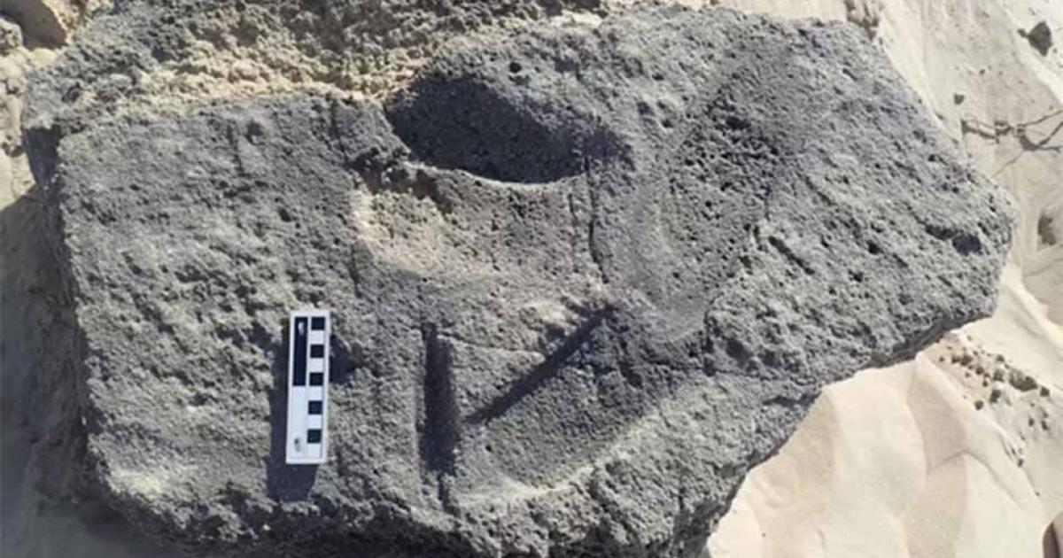Possible hominin tracks with footwear in the Garden Route National Park, South Africa. Source: Charles Helm/The Conversation