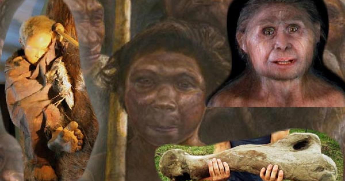 The best on human origins 2013