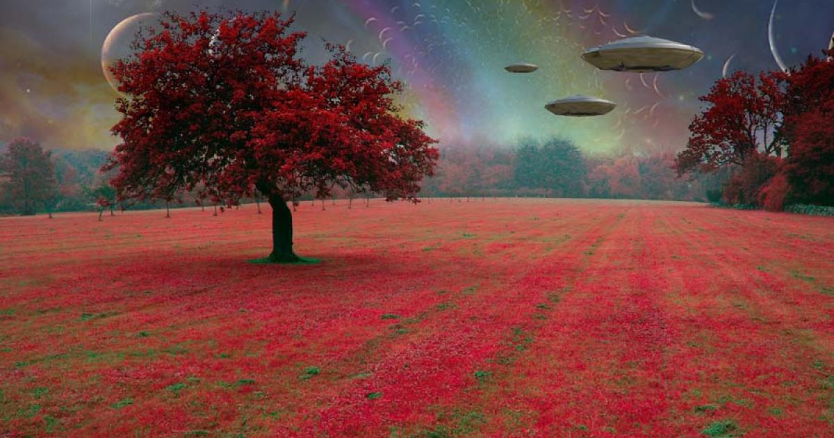 Human origins may be more closely linked to extraterrestrials than you might think! Source: rolffimages / Adobe Stock