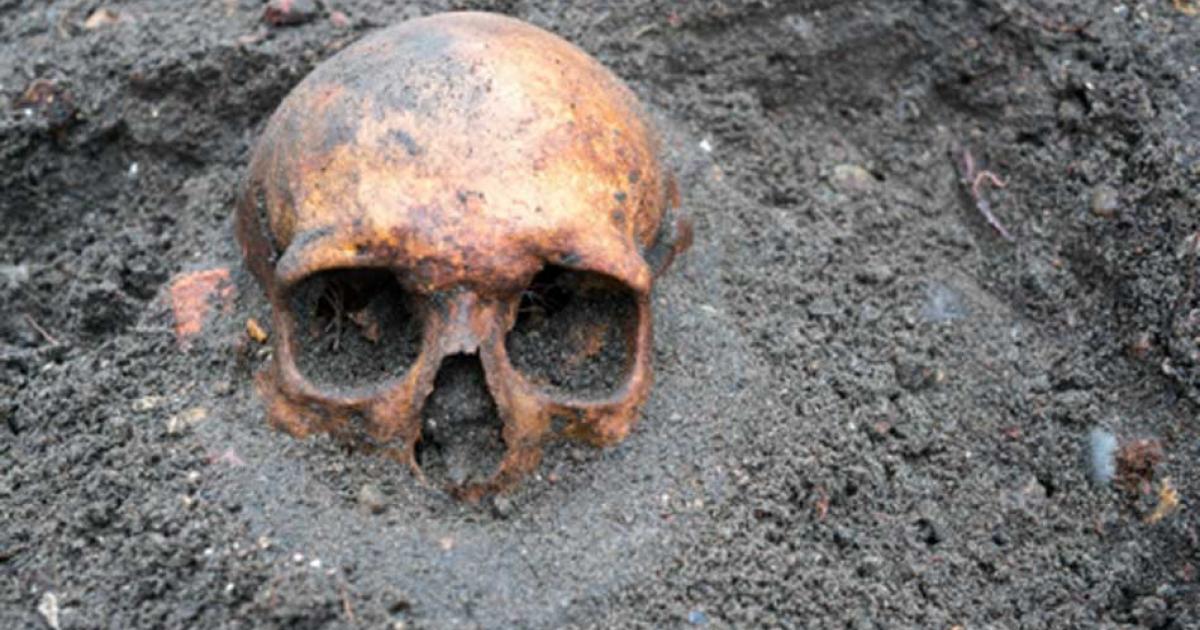A 210,000-year-old human skull found in Greece suggests our species left Africa much earlier than previously thought.            Source: esben468635 /Adobe Stock