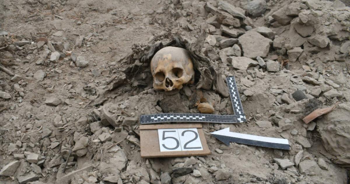 Human skull unearthed during excavations that found mass communal grave at El Curaca site in southern Peru.