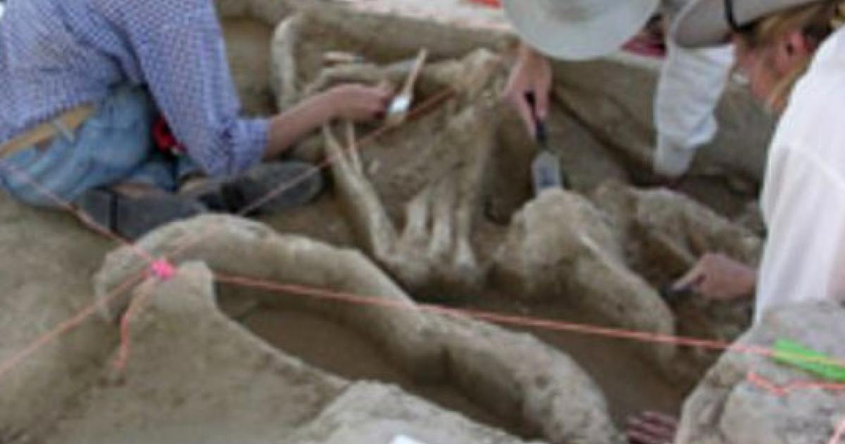 Texas Mammoth Humans