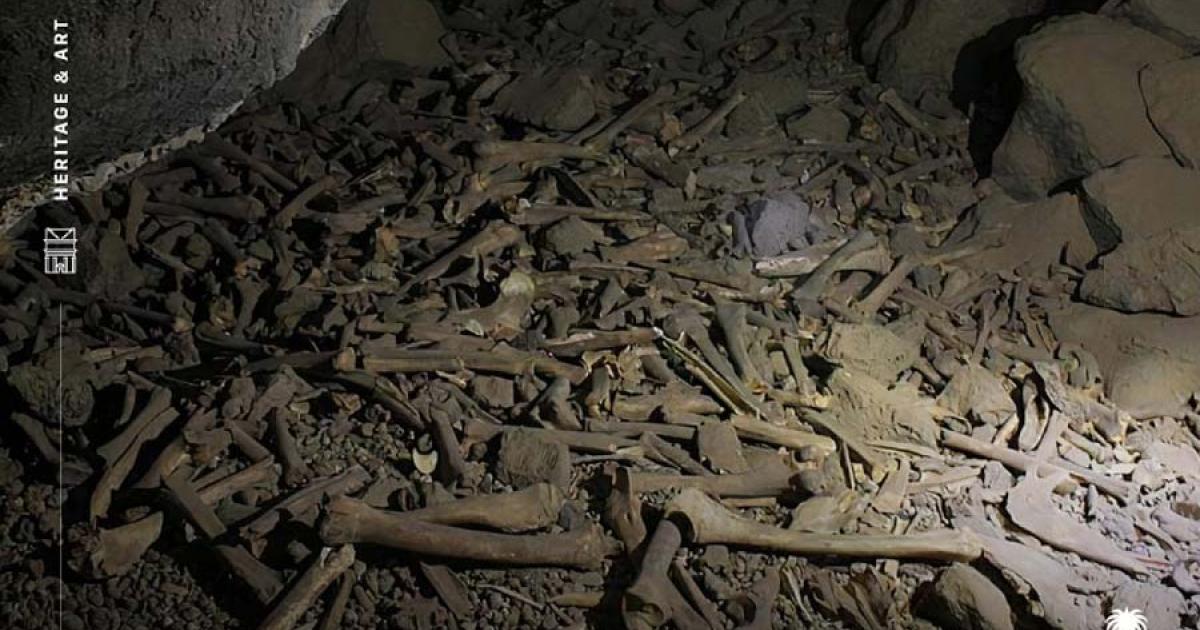 Inside the hyena cave of Umm Jirsan, one of the most spectacular lava tube caves in the world.                      Source: Kingdom of Saudi Arabia For UNESCO