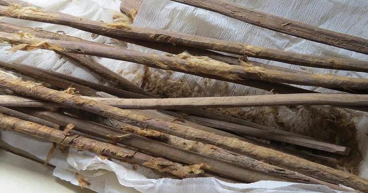 Personal ‘hygiene sticks’ used in toilets on the Silk Road. Hui-Yuan Yeh. Reproduced from the Journal of Archaeological Science