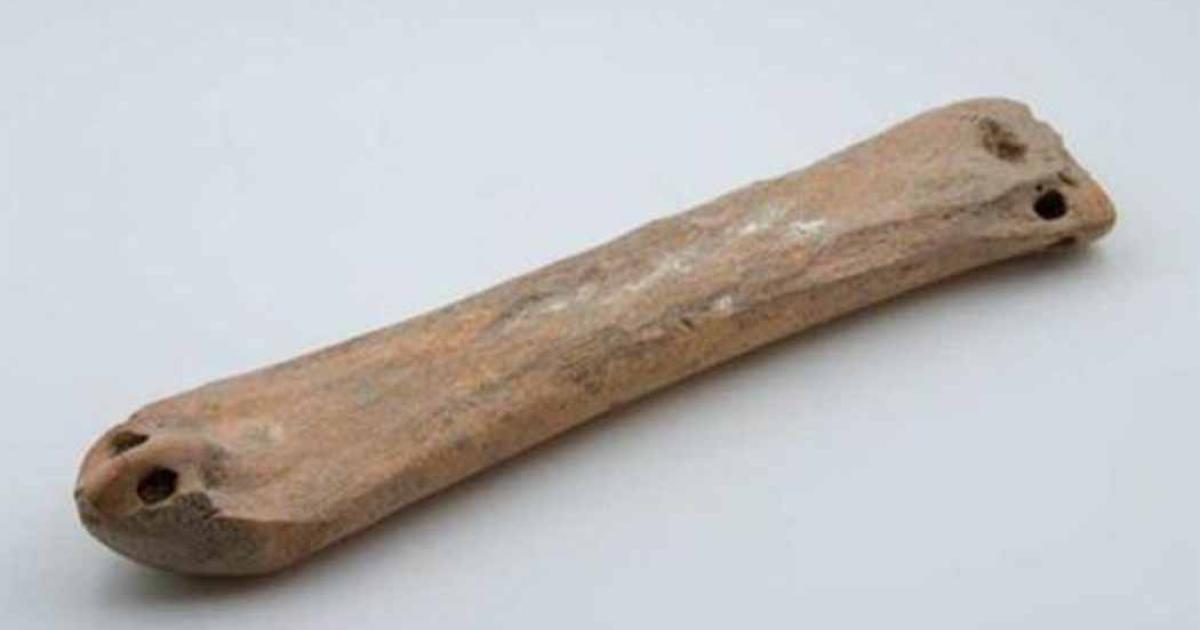 The 3,500-year-old bone ice skate were discovered in Xinjiang in a high-society tomb. Source: Xinhua/ Global Times