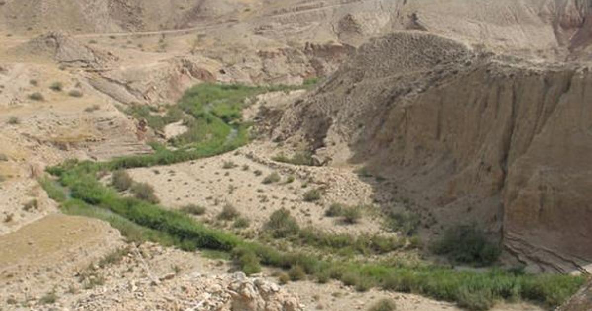agriculture farming iran zagros