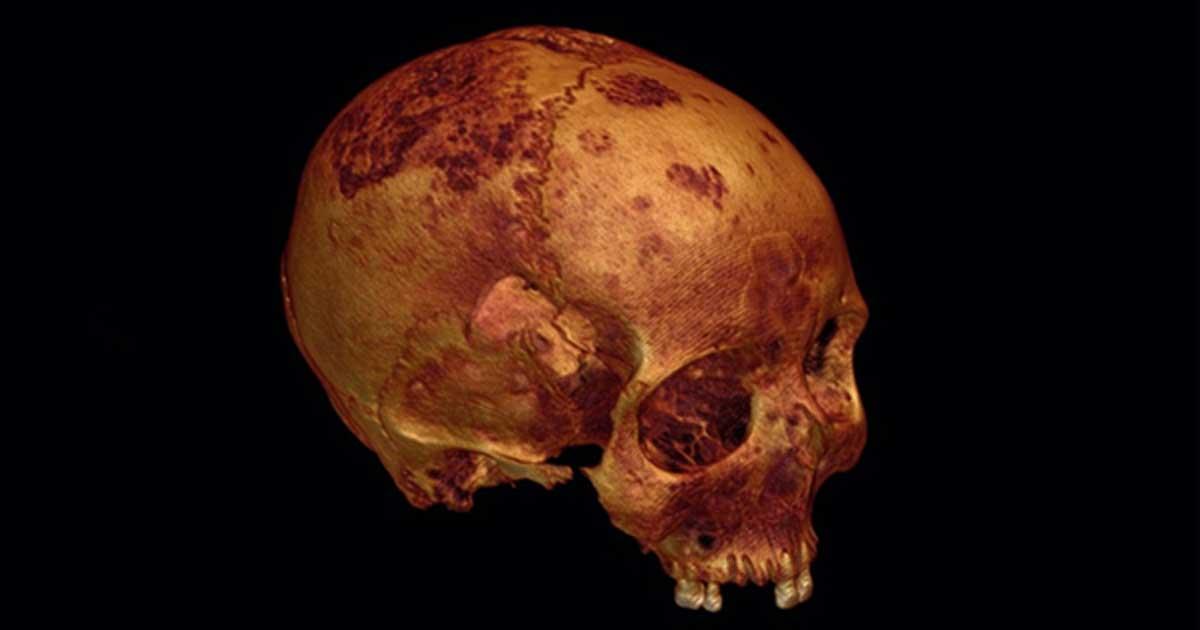 A rendering of the ancient skull created from CT scans.