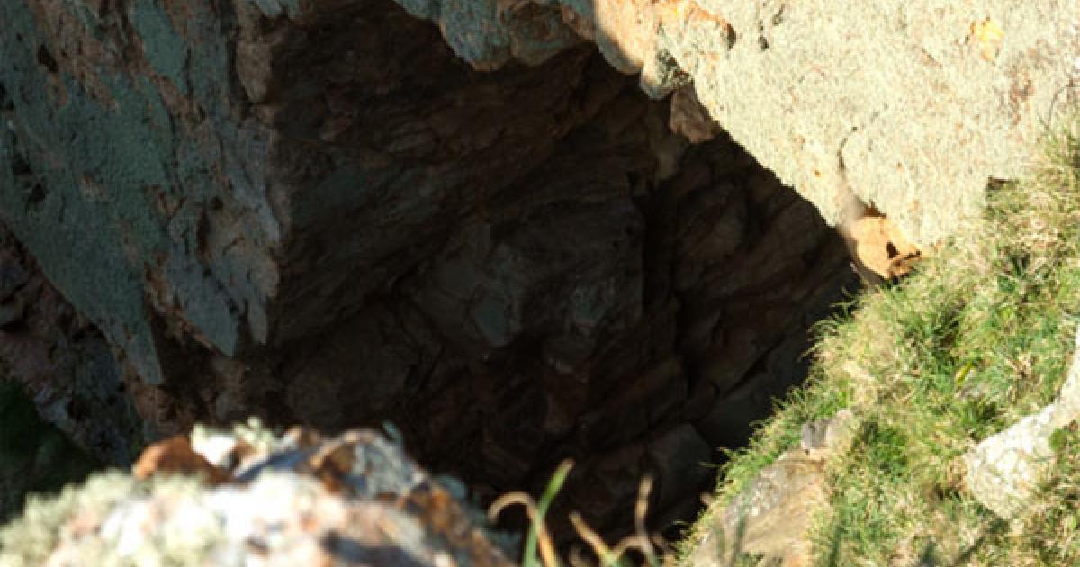 Neanderthal - Jersey Island