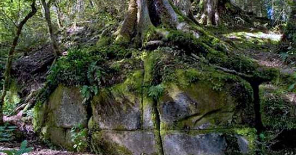 Kaimanawa wall - New Zealand