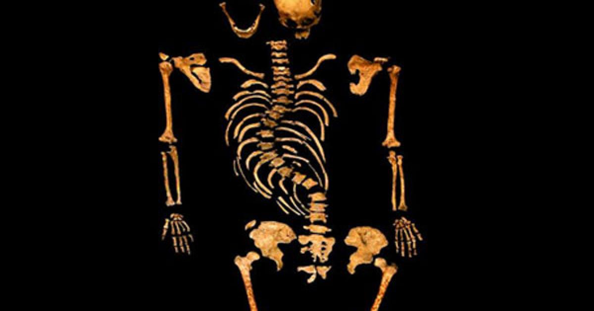 Spinal of King Richard III