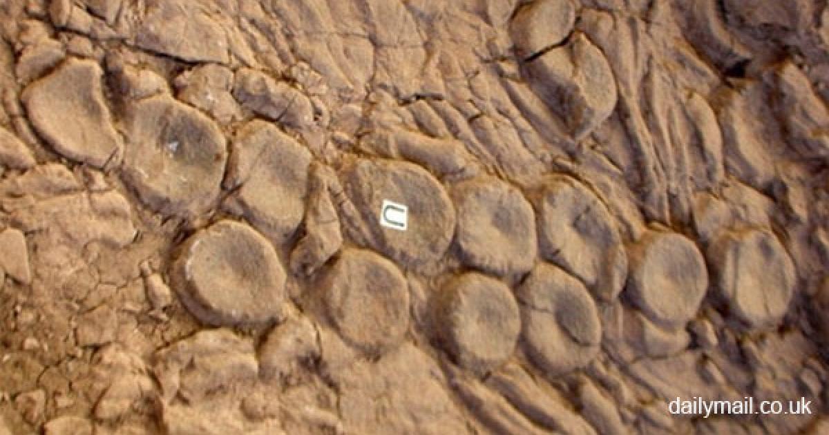 Legendary sea monsters - Kraken