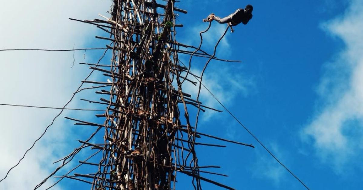 Man performing at the land diving ceremony on the Pentecost Island, Vanuatu          Source: simanlaci / Adobe stock