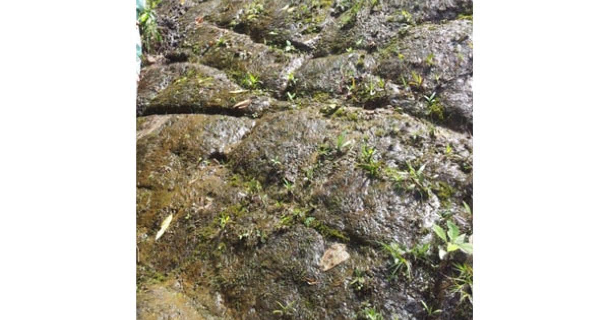 The Lost city of the Giants