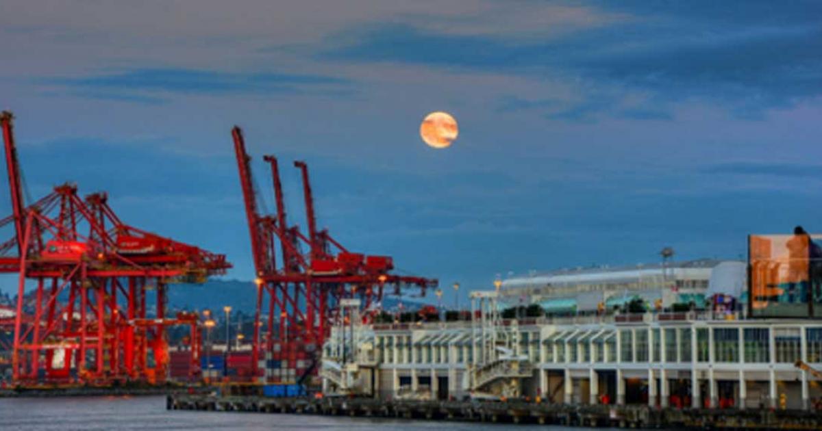Harvest Moon 2014, Coal Harbor, Vancouver.