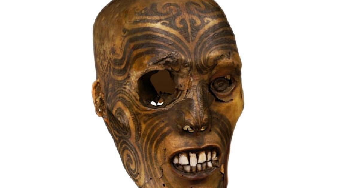Tattooed Maori head