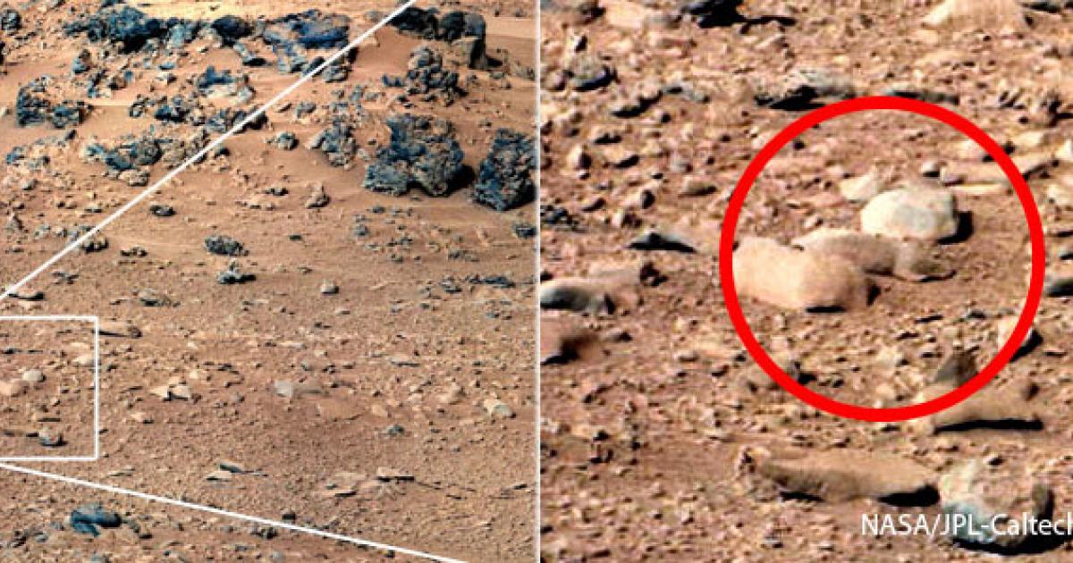 Mars Rock similar to rat