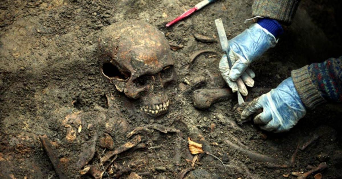 Skeleton in mass grave Durham, England