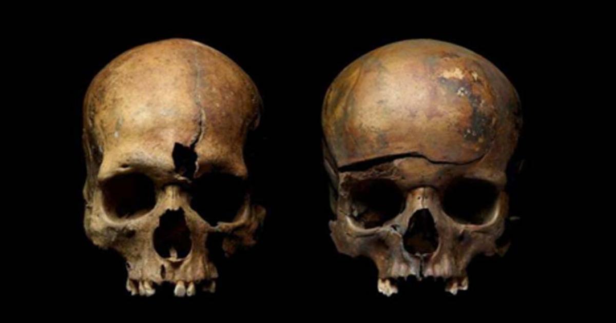 Skulls from mass grave in Yaroslavl, Russia, showing traces of violence. Source: Institute of Archaeology, Russian Academy of Sciences