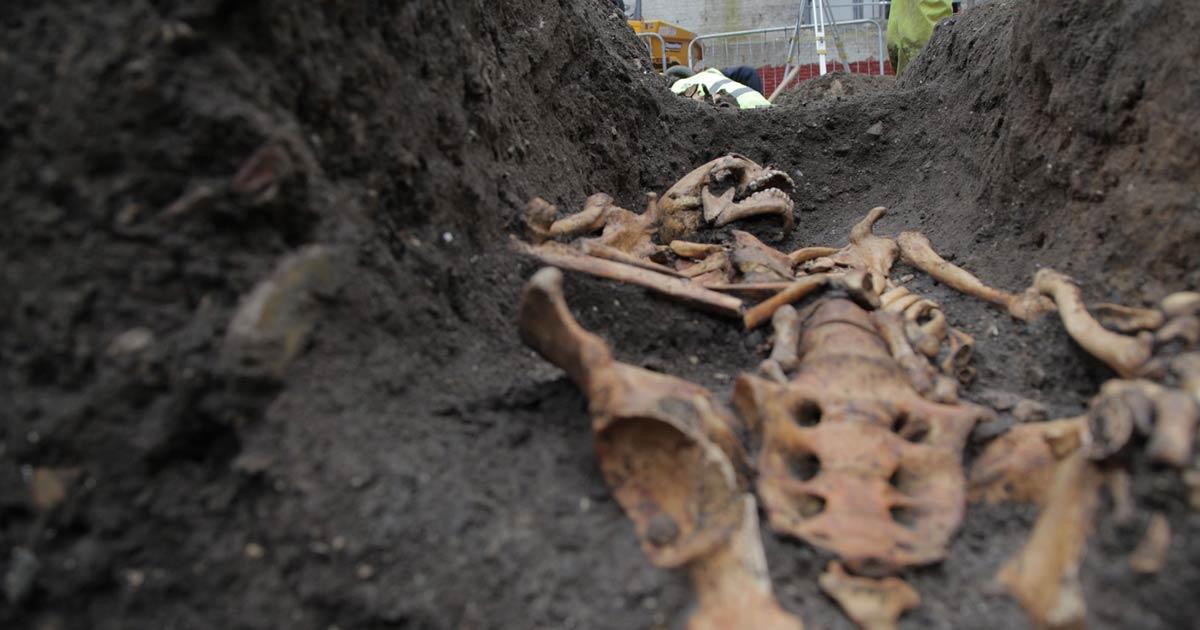 Skeletal Trauma Reveals Class Inequality in Medieval Cambridge