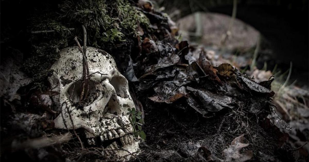 The human remains on the riverbank may be part of a medieval cemetery. Representative image. Source: milkovasa /Adobe Stock