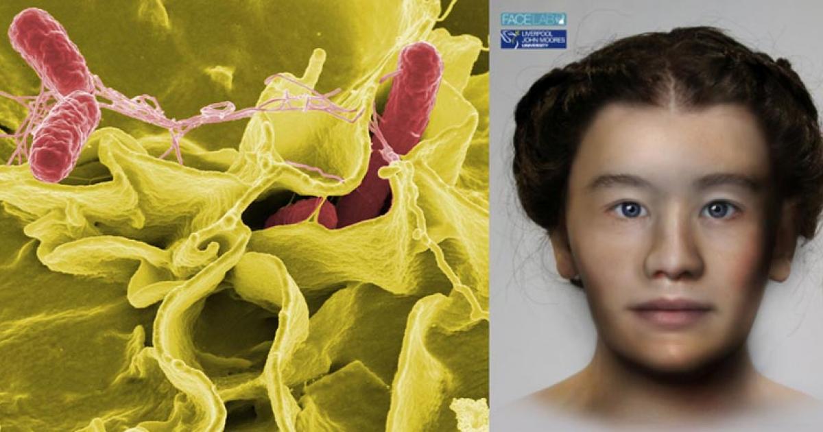 Researchers from Norway, France, Austria and England were able to use information from SK152 to reconstruct what she might have looked like. Source: Stian Suppersberger Hamre/FaceLab	