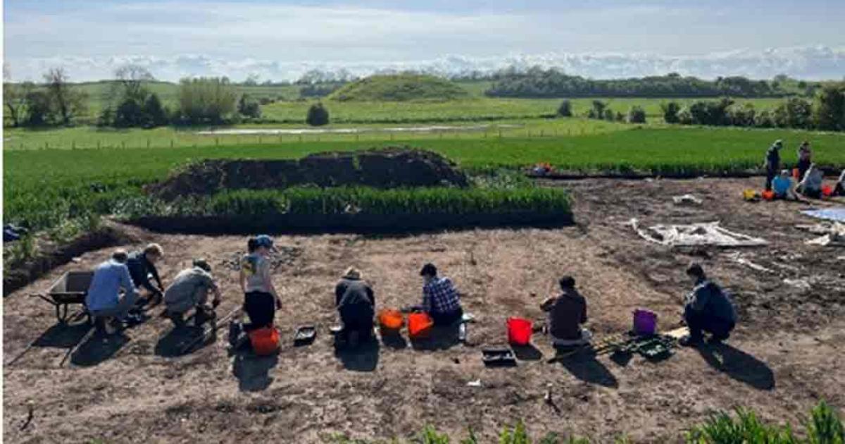 Archaeologists and first year archaeology students excavating the Medieval hall at Skipsea Castle. Source: University of York