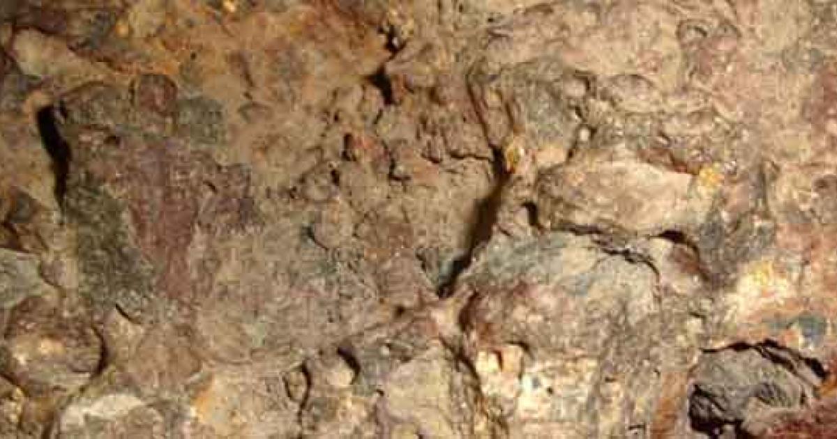 Scientists claim meteorite fossils indicate extraterrestrial life