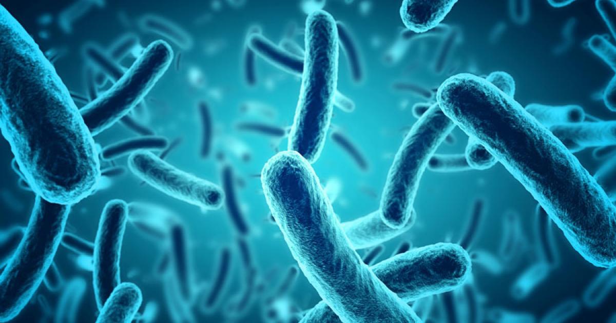 Scientists want to reanimate 830-million-year-old microorganisms. Source: Paulista / Adobe Stock